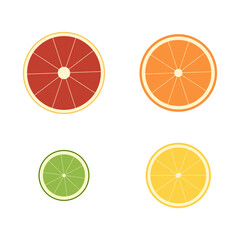 Slice of grapefruit, lemon, orange, lime. Transparent background. Vector