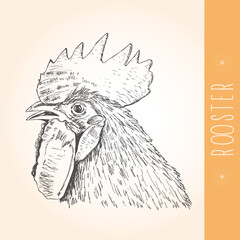 Rooster's head hand drawn, brown and yellow colors. Isolated picture on yellow background with rooster