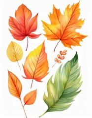 Obraz premium Generated image Autumn leaves watercolor set. Beautiful fall foliage. Seasonal decor. Botanical clipart