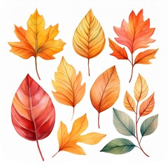 Obraz premium Generated image Autumn leaves watercolor set. Beautiful fall foliage. Seasonal decor. Botanical clipart