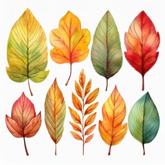 Fototapeta premium Generated image Autumn leaves watercolor set. Beautiful fall foliage. Seasonal decor. Botanical clipart