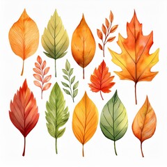 Obraz premium Generated image Autumn leaves watercolor set. Beautiful fall foliage. Seasonal decor. Botanical clipart