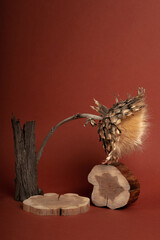 Composition empty podium material eucalyptus stone dry flowers glass. Product presentation. Background mocha ?olor. Beautiful background from natural materials