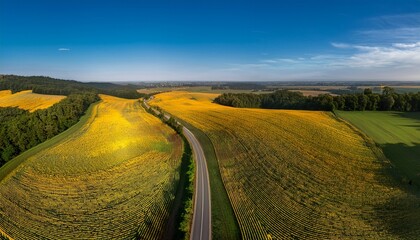 Naklejka premium Generated image Drone view of a winding country road flanked by rows of sunflowers stretching to the horizon