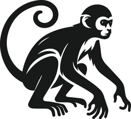 silhouette of a monkey ready to pounce