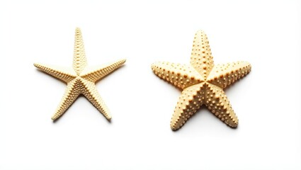 Two distinct varieties of white starfish set against a white backdrop, ocean, sea, beach, design element, flat lay, top view with gentle shadows.