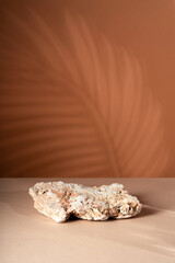 Tropical leaf shadow blank background composition for product presentation. The background is beige. Beautiful trendy color background.