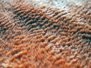 Macro of details orange carpet, background and Texture of orange carpet