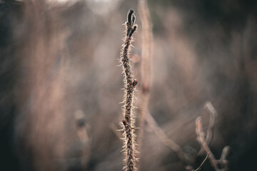 Minimalist dark autumn background.