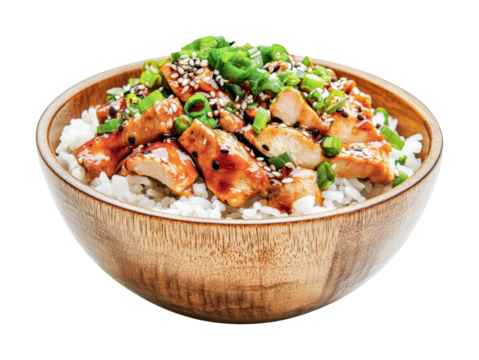 Teriyaki chicken bowl with rice, green onions, and sesame seeds, cut out