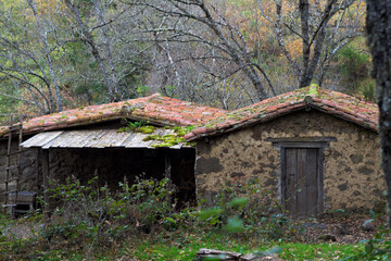 Abandoned scary house in the woods made of horizontal stone