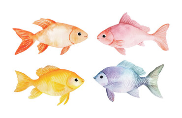 Fototapeta premium Colorful watercolor fish set: orange, pink, yellow, and blue designs, cut out