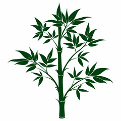 Fototapeta premium A silhouette of a single bamboo stalk with sparse leaves on white background