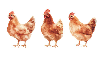 A digital watercolor painting depicts three light brown hens against a white background. Each hen is rendered in detail, showing feathers, comb, and wattle. The style is illustrative, with soft