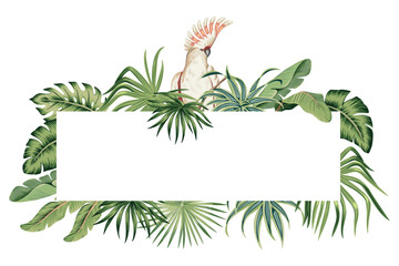 Tropical palm leaves, plant, cockatoo parrot botanical frame. Exotic jungle banner. © good_mood