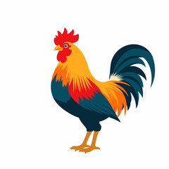 Fototapeta premium Colorful rooster illustration on white background, symbol of vitality