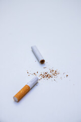 cigarette cut in half on white background