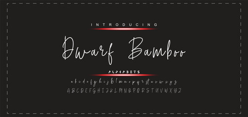 Hand drawn vector alphabet. Modern monoline signature script font. Elegant Signature Font. Best Alphabet Beautiful Calligraphy Signature Font