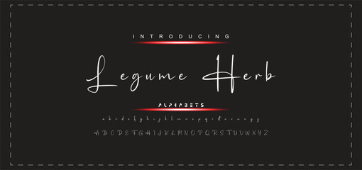 Hand drawn vector alphabet. Modern monoline signature script font. Elegant Signature Font. Best Alphabet Beautiful Calligraphy Signature Font