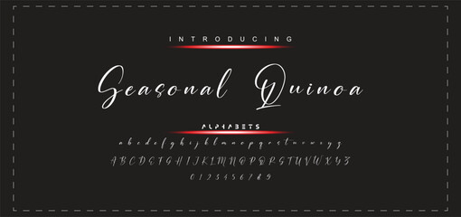 Hand drawn vector alphabet. Modern monoline signature script font. Elegant Signature Font. Best Alphabet Beautiful Calligraphy Signature Font