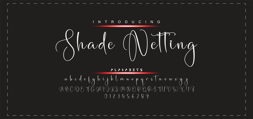 Hand drawn vector alphabet. Modern monoline signature script font. Elegant Signature Font. Best Alphabet Beautiful Calligraphy Signature Font