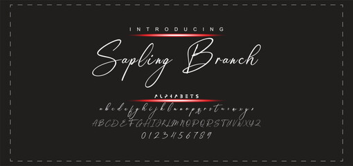 Hand drawn calligraphic vector monoline font. Distress signature letters. Modern script calligraphy type. ABC typography latin signature alphabet. © Jon