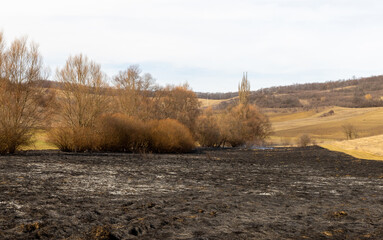 Ash on the field left after the wildfire