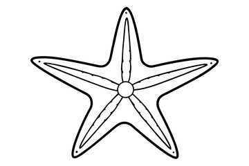 starfish line art silhouette vector illustration