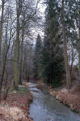 Obraz premium Small River Flowing Through Forest with Fallen Tree