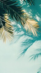 Palm Leaves Casting Shadows on Wall