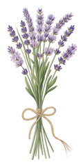 Obraz premium Lavender bunch tied with twine showcases vintage botanical beauty and elegance PNG transparent stickers,