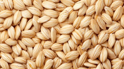 Close-up of raw golden oat grains