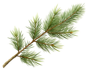 Realistic pine branch with lush green needles perfect for festive decorations and holiday themes PNG   transparent stickers,
