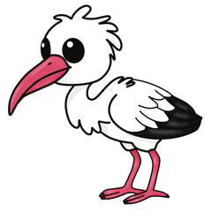Animals a-z clipart ibis 