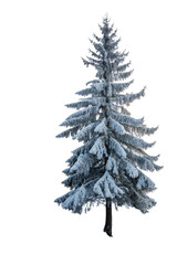 Obraz premium Snow covered fir tree stands tall and serene in winter landscape with transparent background PNG transparent stickers,