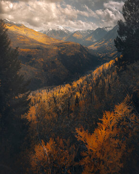 View of autumn forest with yellow leaves and majestic mountains under a cloudy sky, McClure Pass, Colorado, United States.