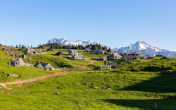 View of beautiful alpine pasture with traditional huts and scenic mountains, Velika Planina, Kamnik, Slovenia.