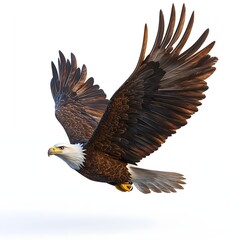 Fototapeta premium A stunning image of a bald eagle in mid-flight, showcasing its powerful wings and majestic presence. A symbol of freedom and the American spirit. Detailed Animal isolated on white background.