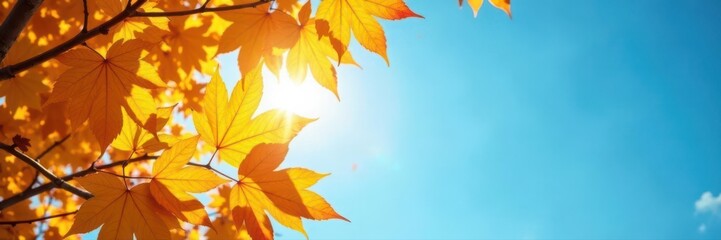 Fototapeta premium Sunlit yellow leaves against a vibrant blue autumn sky, ample copy space , clear, sunshine