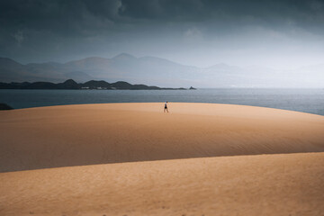 View of serene sand dunes and vast ocean under a cloudy sky, Playa de la Pared, Fuerteventura, Spain.