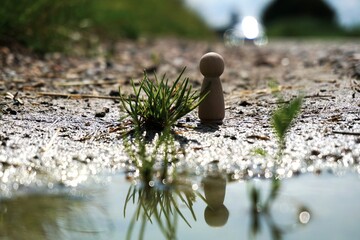 Wooden figure standing by a puddle with a grass plant next to it. A reflection of herself and a...