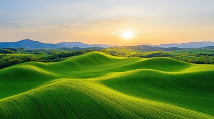 Obraz premium Rolling Green Hills Sunset Landscape Scenery