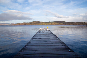 Fototapeta premium pier on the lake with clouds 
