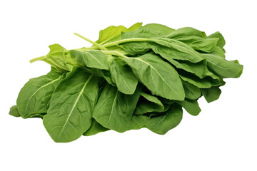 A group of freshly picked green culantro leaves lying flat, highlighting their freshness and rich green color, isolated on white background