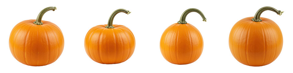 Obraz premium Small Orange Pumpkin on White, Cut Out Set