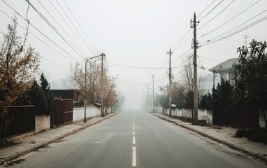 Empty Foggy Street in Suburban Neighborhood with Brown Trees and Overcast Sky