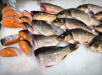 Fresh carp fish in the store. Raw fish on the ice. Fresh chilled carp at the fish market. River fish closeup. salmon