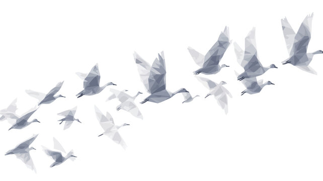 The image depicts a flock of birds in flight, rendered in shades of gray and white against a white background.  The birds are depicted in a somewhat abstract style, with a focus on the overall form
