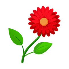 Red gerbera flower with stem on white background