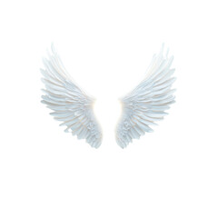 Obraz premium Elegant white angel wings on a white isolate background.